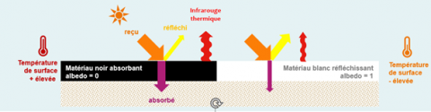 Bilan des rayonnements en surface de revêtements : impact de la valeur de l’albédo le jour sur les températures de surface