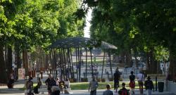 Rencontres nationales de la marche en ville à Rennes