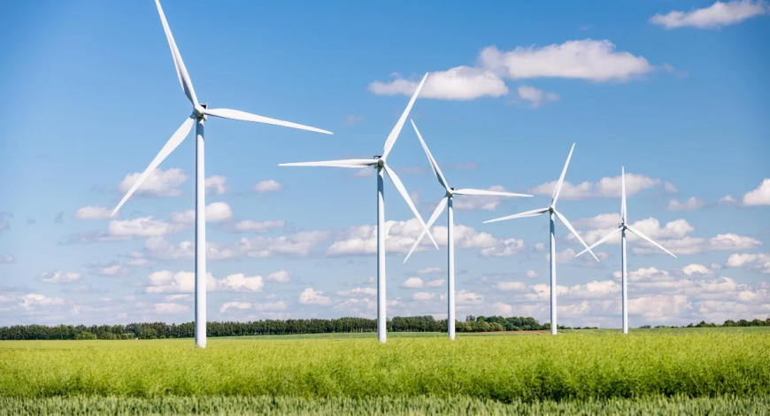 Le site de l’Observatoire des énergies renouvelables et de la biodiversité vise à partager et structurer les connaissances sur les incidences des projets d’énergies renouvelables sur la biodiversité, les sols et les paysages