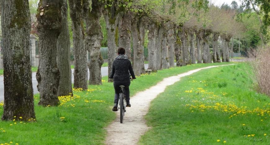 Vélo & Territoires et le Club des villes et territoires cyclables et marchables s’unissent pour devenir Le Réseau vélo et marche