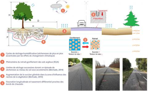 Impacts et conséquences des sécheresses sur les routes.
