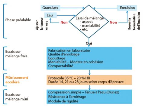 Logigramme de la méthodologie d’étude.