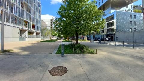 Espaces végétalisés infiltrants et point d’eau propices au rafraîchissement de la voirie.