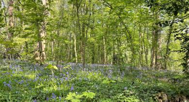 L’état de conservation des habitats et des espèces remarquables continue à se dégrader