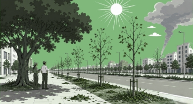 Fiche-conseil du CAUE 77 pour adapter la conception et la réalisation des plantations d'arbres aux effets du changement climatique