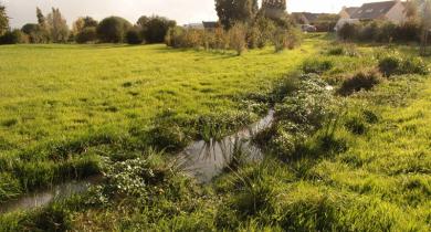 Eau et ville : un centre de ressources du Cerema au service des territoires