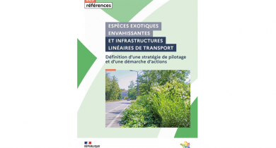 Espèces exotiques envahissantes et infrastructures linéaires de transport