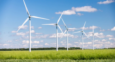 Le site de l’Observatoire des énergies renouvelables et de la biodiversité vise à partager et structurer les connaissances sur les incidences des projets d’énergies renouvelables sur la biodiversité, les sols et les paysages