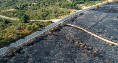 Vialytics offre sa plateforme de gestion de voirie aux collectivités sinistrées par les incendies
